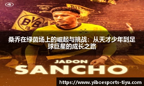桑乔在绿茵场上的崛起与挑战：从天才少年到足球巨星的成长之路